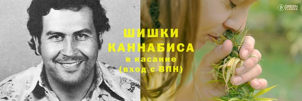 молекула духа Алексин