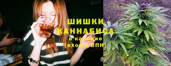 молекула духа Алексин