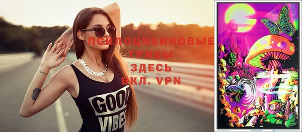 дмт Алзамай