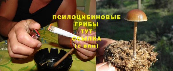 дмт Алзамай