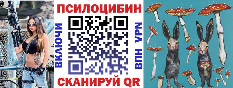 Купить  Вичуга  Псилоцибиновые грибы Cubensis 